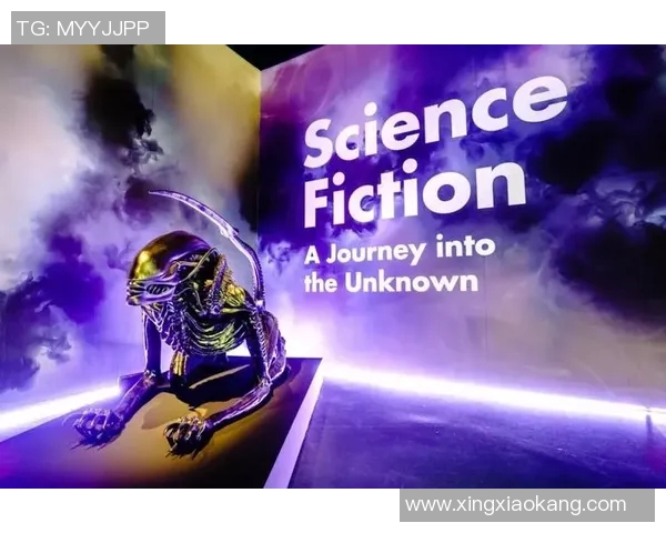 女博主亲荐足球明星魅力与风采揭示运动员背后的故事与生活